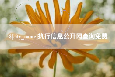 樟树执行信息公开网查询免费